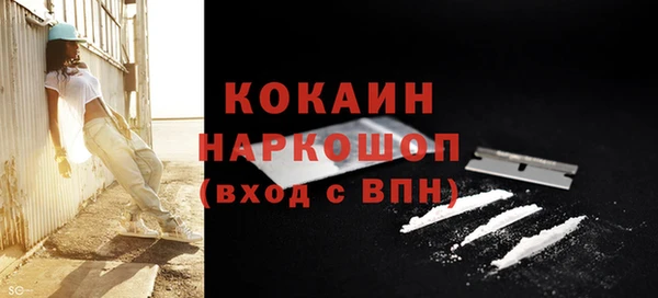 бошки Горняк