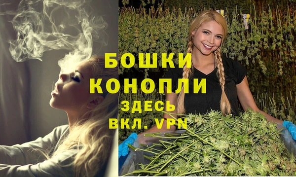 мяу мяу мука Горно-Алтайск