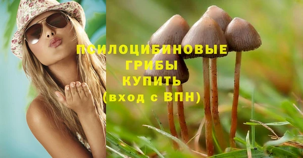 мяу мяу мука Горно-Алтайск