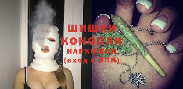 ГАЛЛЮЦИНОГЕННЫЕ ГРИБЫ Гусь-Хрустальный
