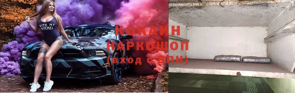 мяу мяу мука Горно-Алтайск